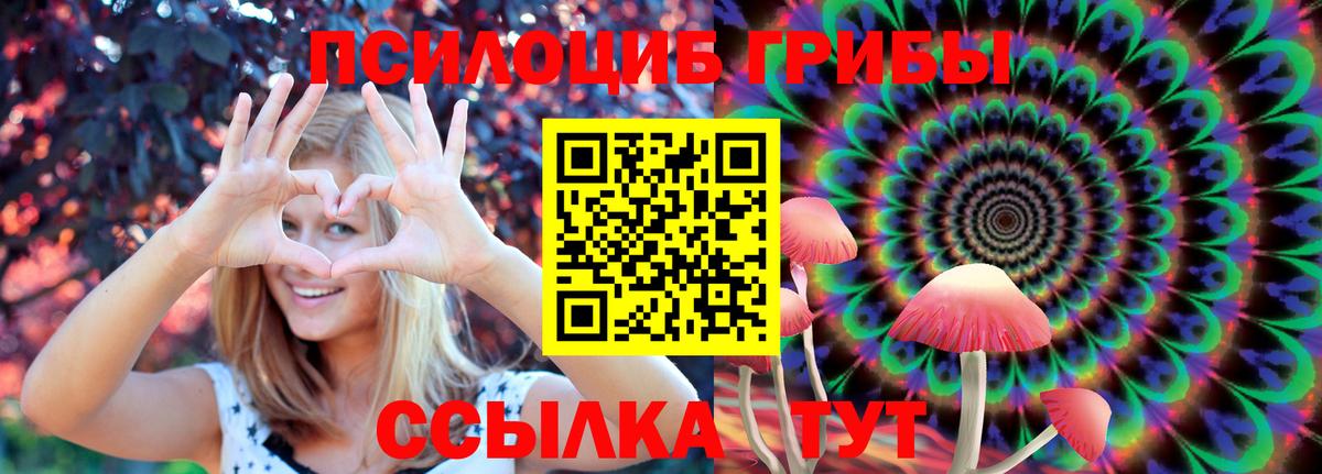 Галлюциногенные грибы прущие грибы  Галлюциногенные грибы MAGIC MUSHROOMS  Черногорск  Вход с VPN 